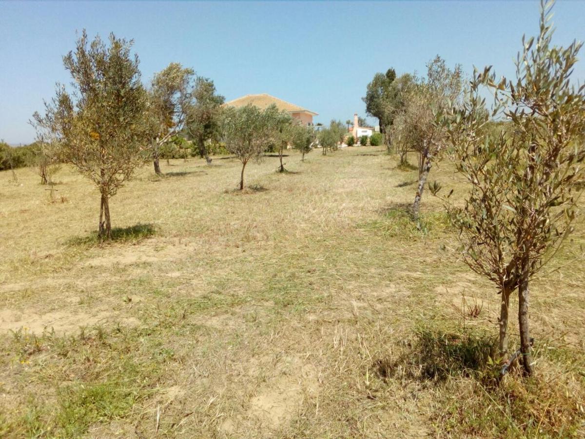 Villa Fior D'Oleandro Santa Maria Del Focallo Bagian luar foto